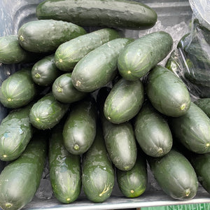 Slicing Cucumbers