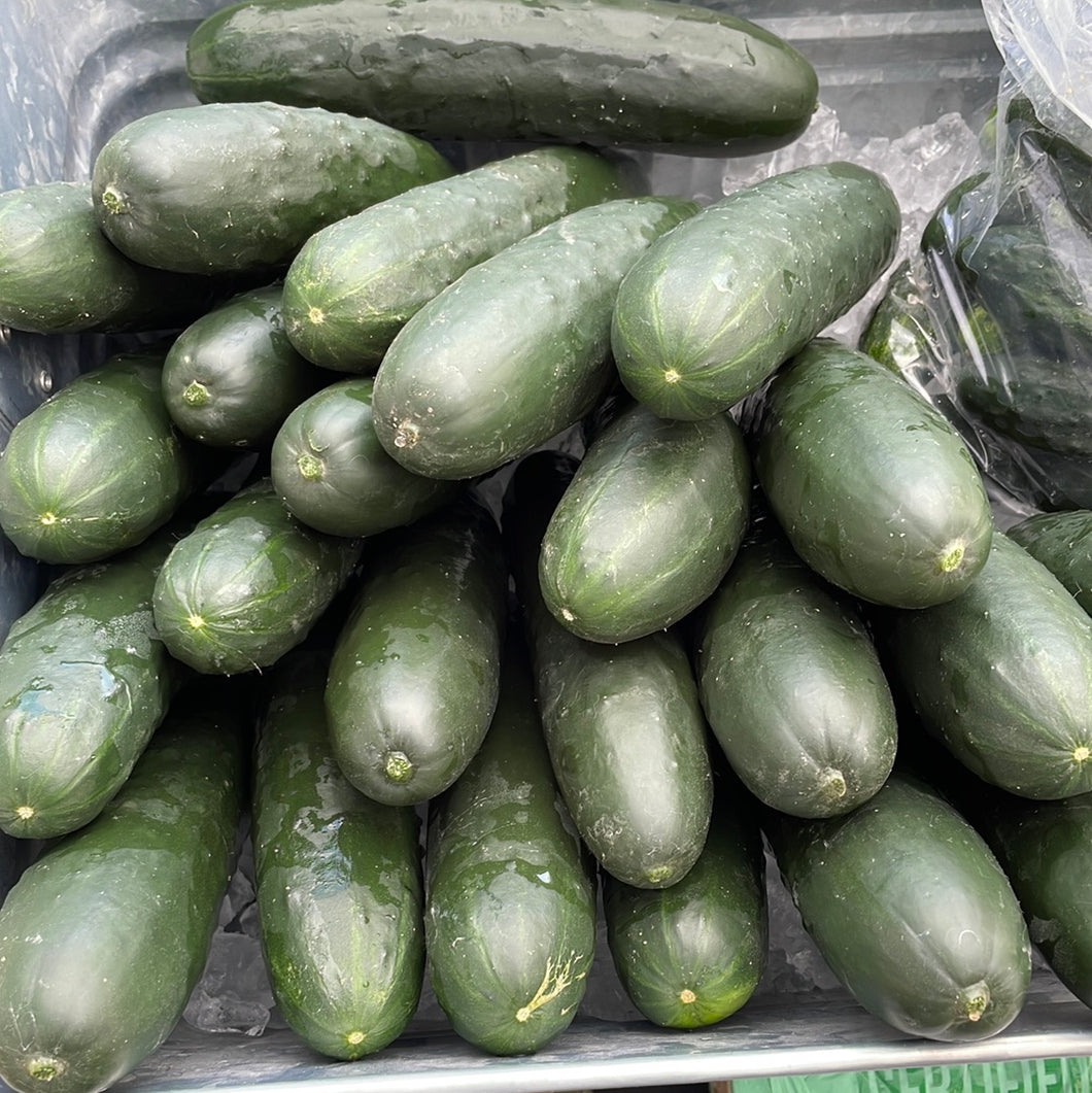 Slicing Cucumbers