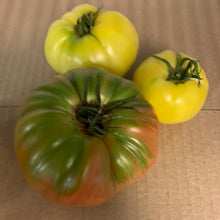 Load image into Gallery viewer, Tomatoes
